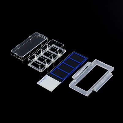 สไลด์เพาะเลี้ยงเซลล์ 2 หลุม 4 หลุม 8 หลุม